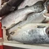 frozen salmon fillet, salmon fish