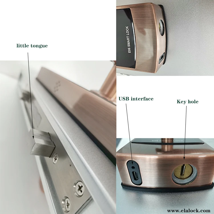 ELA Cheap rfid multipoint smart keypad fingerprint  door lock access control
