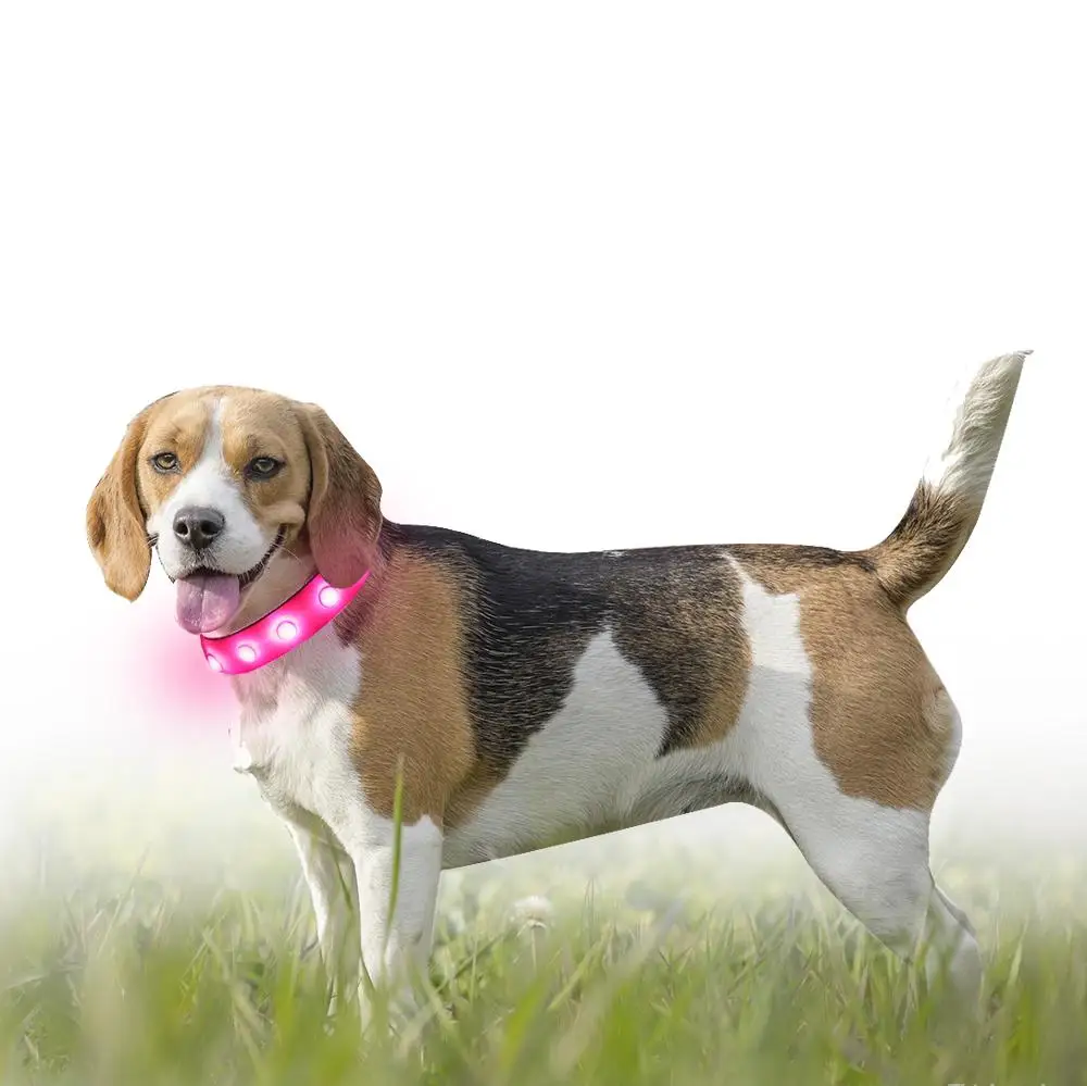 

Factory Flashing TPU Material LED Collar for Dog