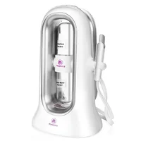 

Portable SPA Small bubble beauty machine Hydrogen Beauty Oxygen Micro Bubble Machine