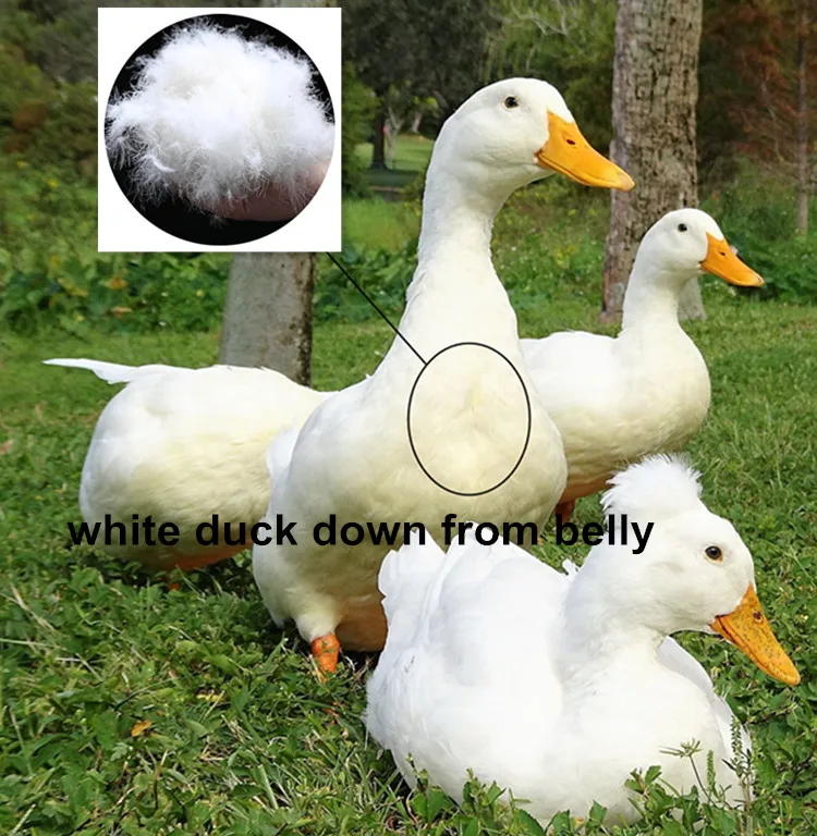 duck down TS1400 16