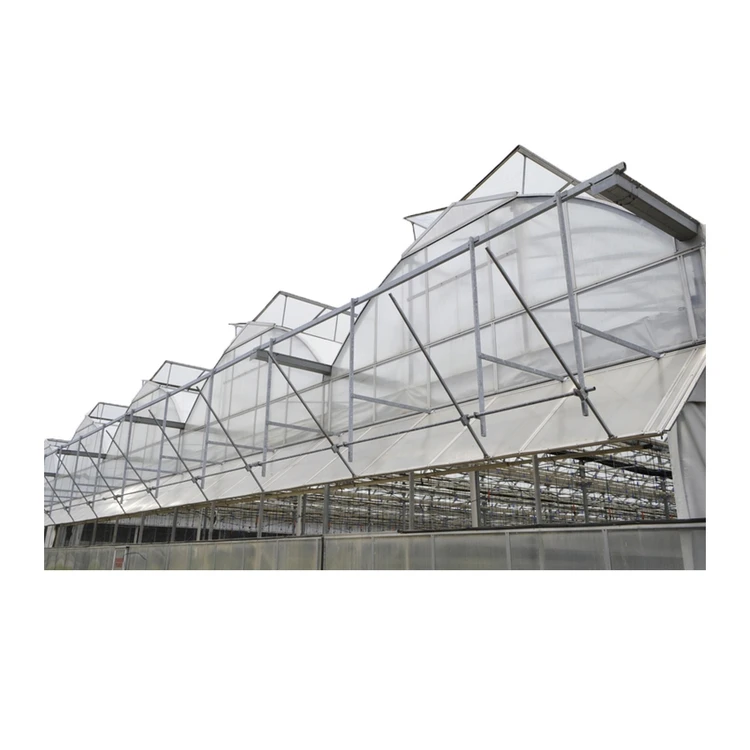 greenhouses polycarbonate professional