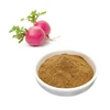High Quality Manufacturer Beetroot Extract Organic Beetroot Powder Beetroot Extract Powder