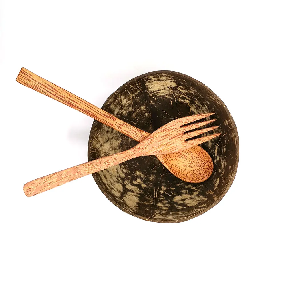 

Eco Friendly Lacquer Organic Virgin Smooth Shiny Biodegradable Reusable Durable Bag Coconut Bowl Spoon Fork Set, Natural brown coconut shell