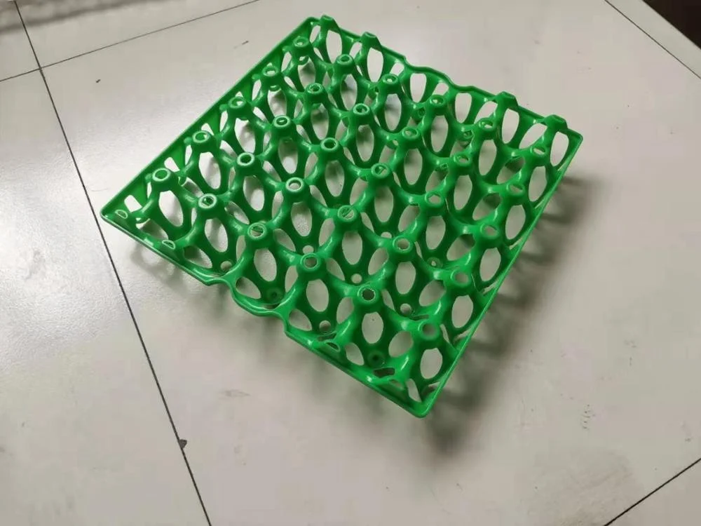 
best price plastic egg tray for chicken eggs 30 chicken eggs tray 