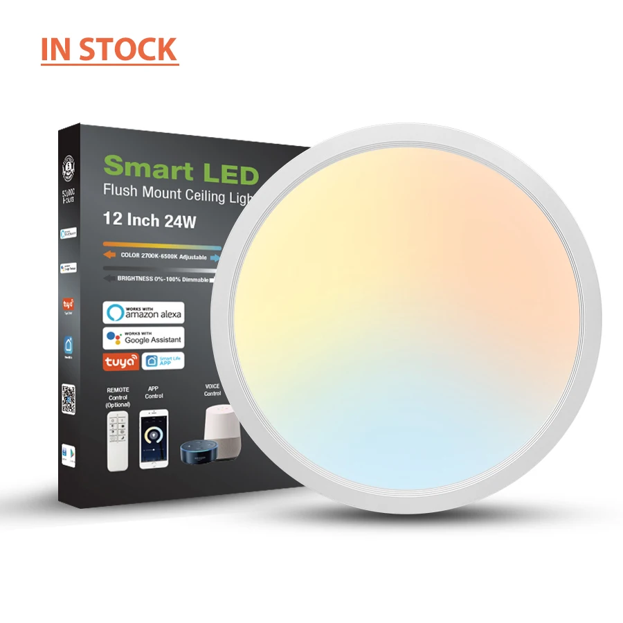 

24W 300MM Indoor Bedroom Party Music Smart Dimmable Round Surface Mounted 12Inch WIFI LED Ceiling Light