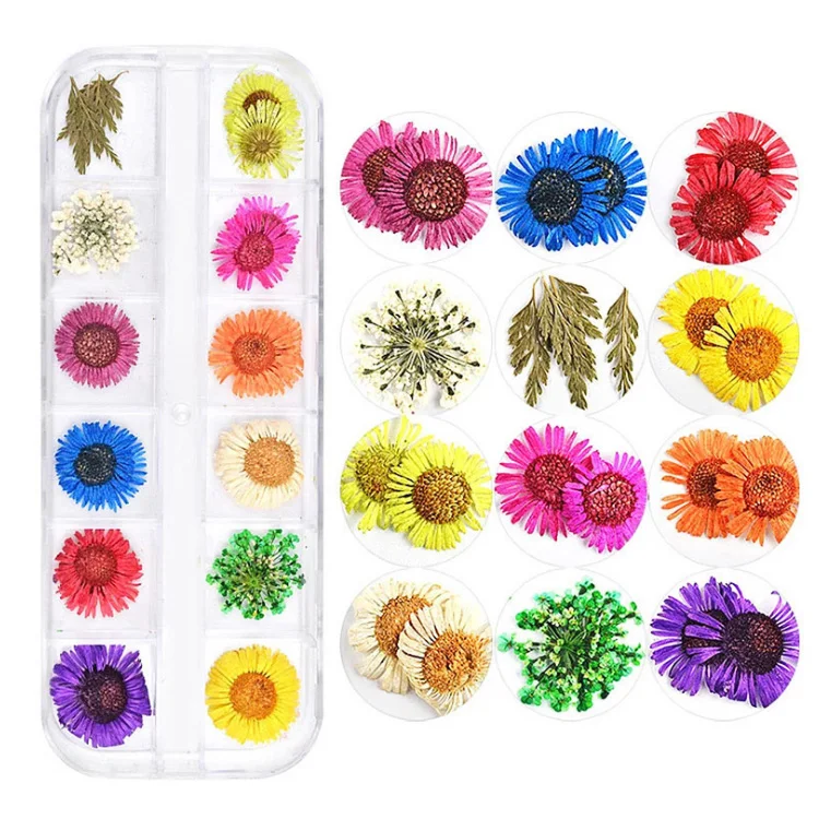 

Dried Flowers for Resin Molds Nail Art - Nail Art Accessories Kits, 81 Color Lovely Natural Nail Art, Dried Flowers, As picture