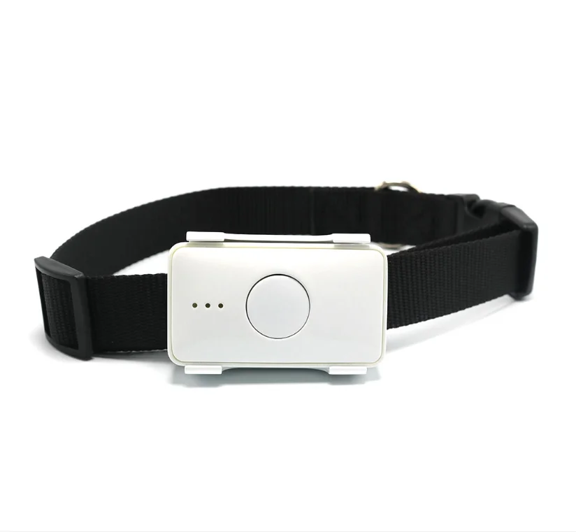 

Free Positioning Platform Micro 4G LTE Cat Dog Mini Pet GPS GSM Tracker with IP67 waterproof range and Training dog