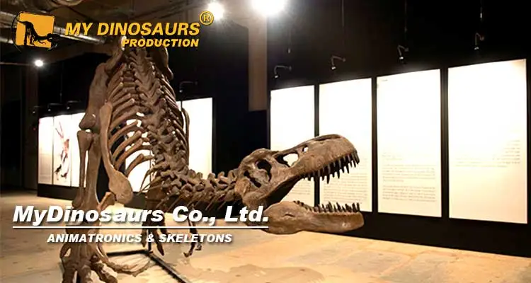 science-museum-t-rex.jpg