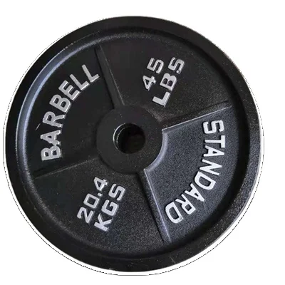 

Strength Training And Bodybuilding Gym Machine Iron cast Weight Plate, Dark gray