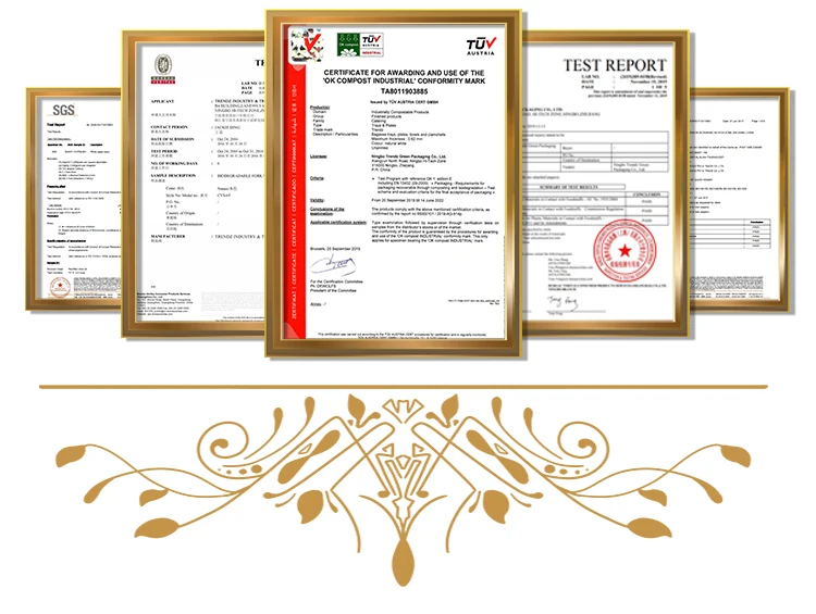 paper bowl certificate.jpg