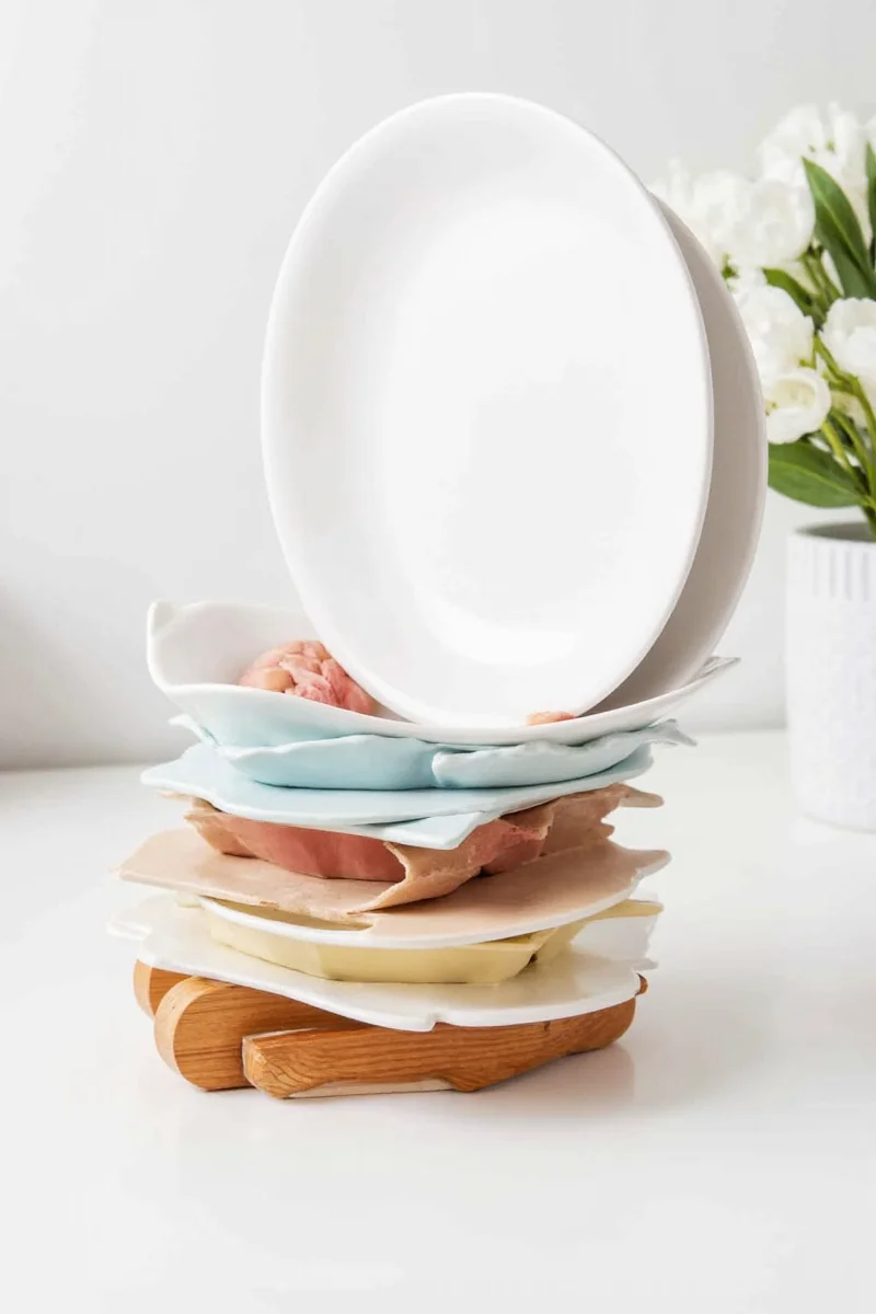 A wooden plate rack labeled with animal shapes and colors underneath each plate.