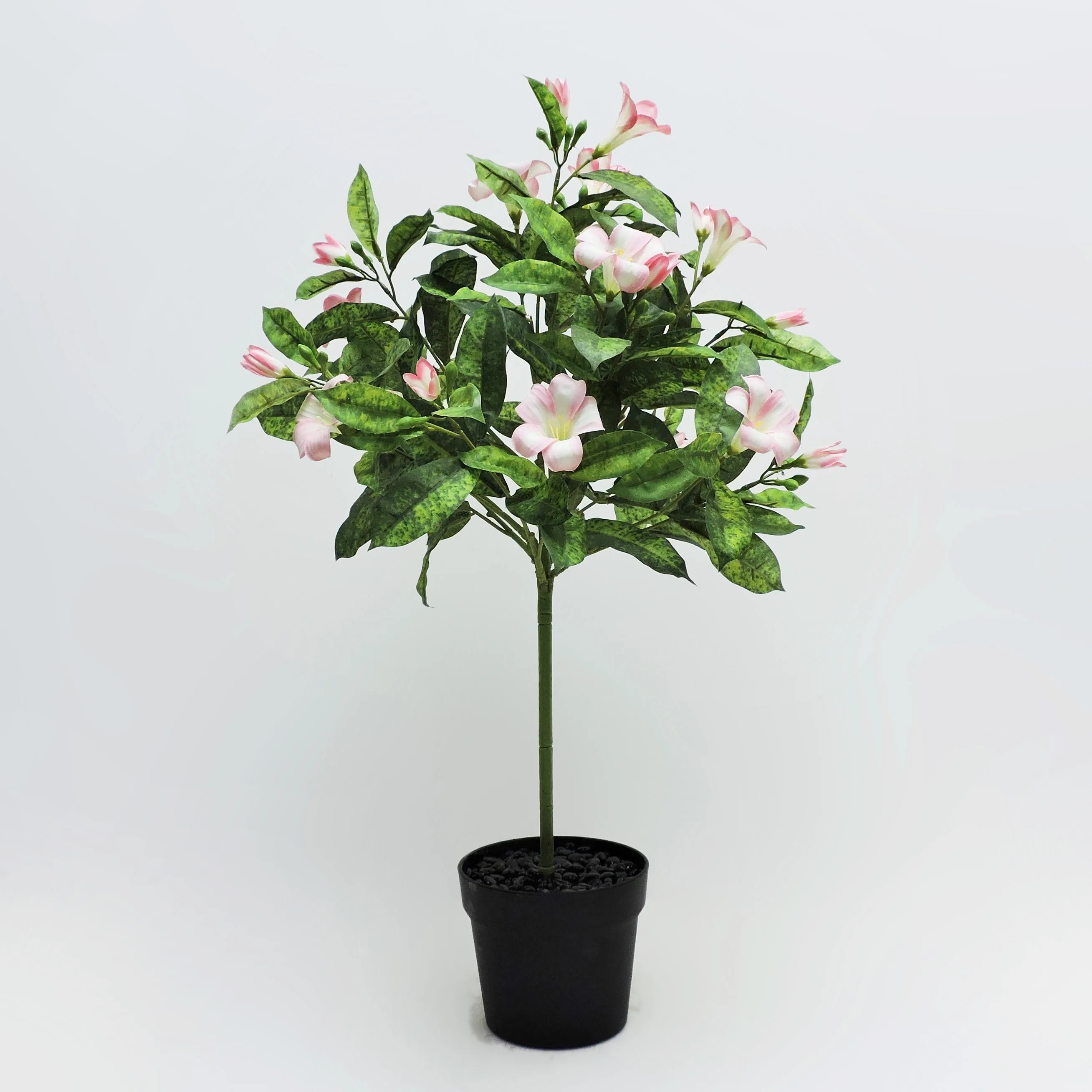 Lily in plastic pot P240605 US$4.5 MOQ 300PCS