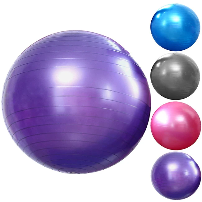 

65cm Home Gym Accessories Included Anti-Burst Balance Exercise Balls Extra Thick Stability Yoga Ball