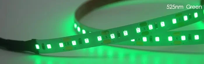 525nm.jpg