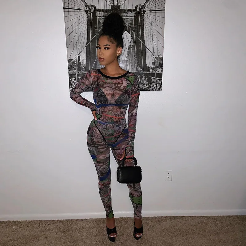 

New Style Sexy Two Piece Long Sleeve Pants Women Sets Jumpsuit Painted Mesh 2 Piece Bodysuit Women Set Slim Mesh Two Piece Set, Picture