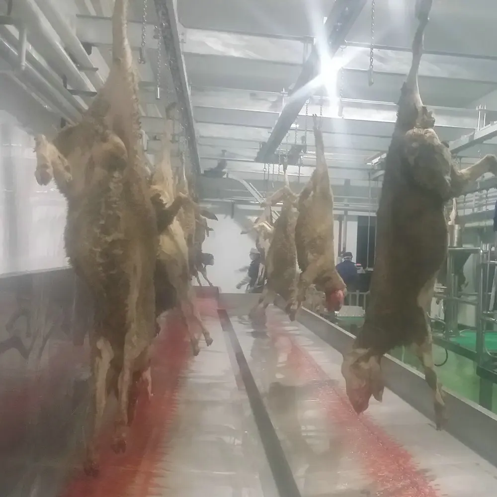 Sheep Slaughterhouse Overhead Meat Conveyor Meat Rail System - Buy Meat ...