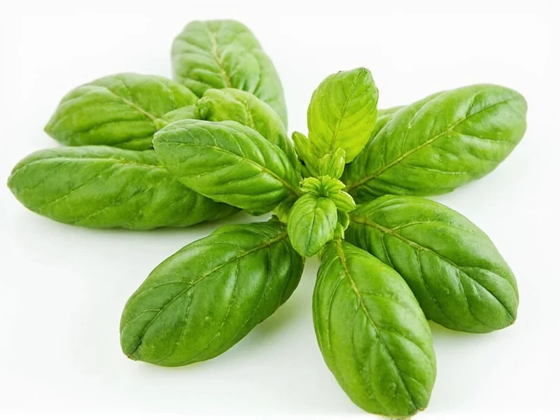 How Much Dried Basil Equals 1/2 Cup Fresh: Exact Conversion