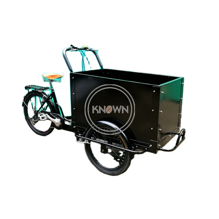 

Dutch Electric Adult Tricycle 3 Wheels Cargo Bike Aluminium Bicycle Frame for Sale European Standard