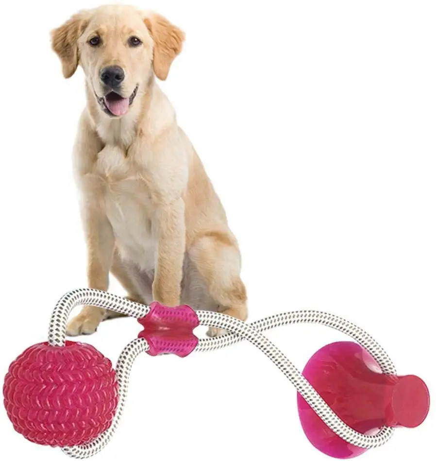 

Amazon Hot Selling Fun Pet Dog Toy Tooth Chewing Molar Bite Rope Ball with Suction Cup, Red,green,blue
