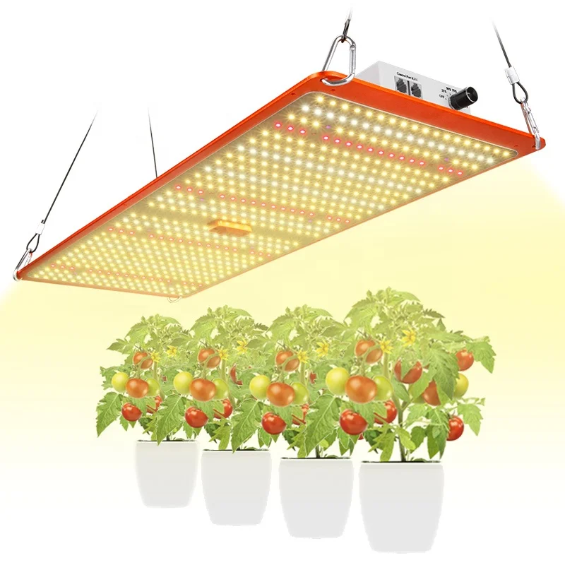 

240w LM301H/LM301B Quantum growing led light or led growing lamp for indoor plant