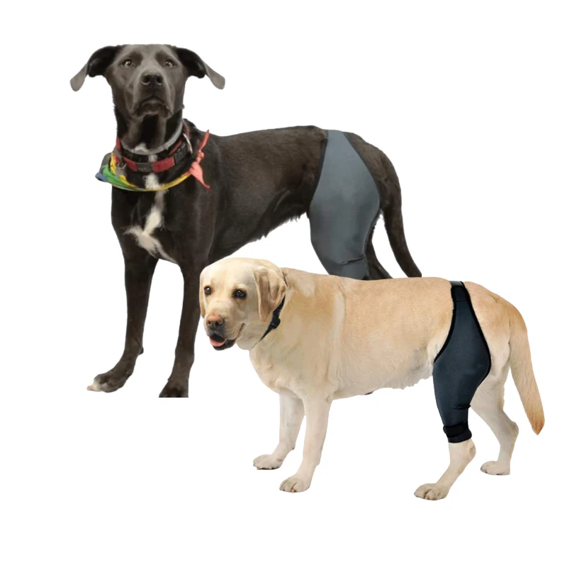 

adjustable dog knee pads protect dog leg knee support brace factory low price adjustable, Black, grey