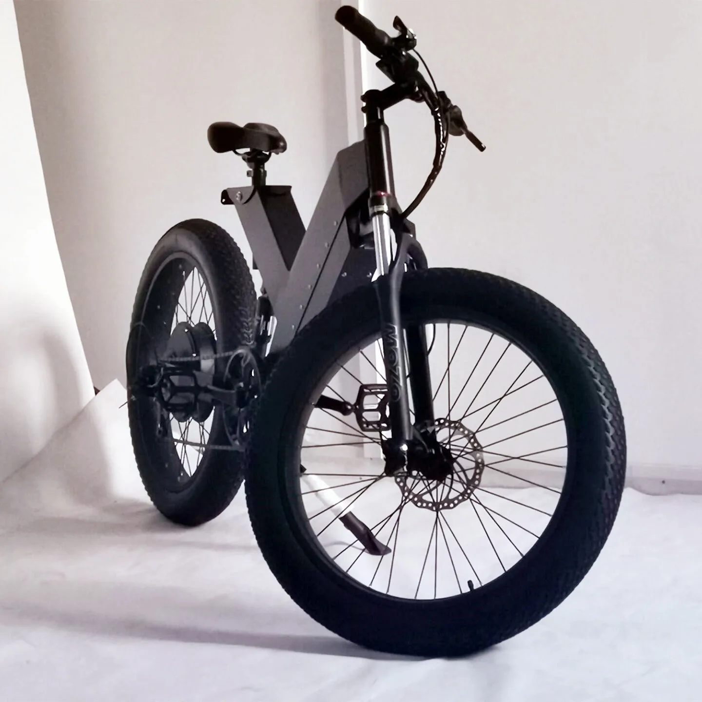 

High Quality Electric Fat Tire Bike 1000W Ebike Fast V-type Ebike, Black