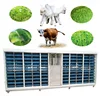 Automatic sprouting machine Bainte sprouting machine manufacturer Bud seedling machine using method