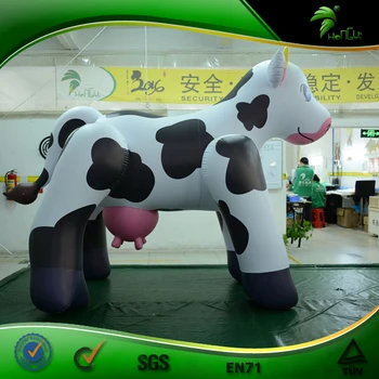 inflatable cow pool float