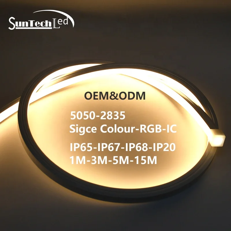 OEM&ODM Engineering lighting strip outdoors Low voltage LED strip light source IP67 waterproof led neon light