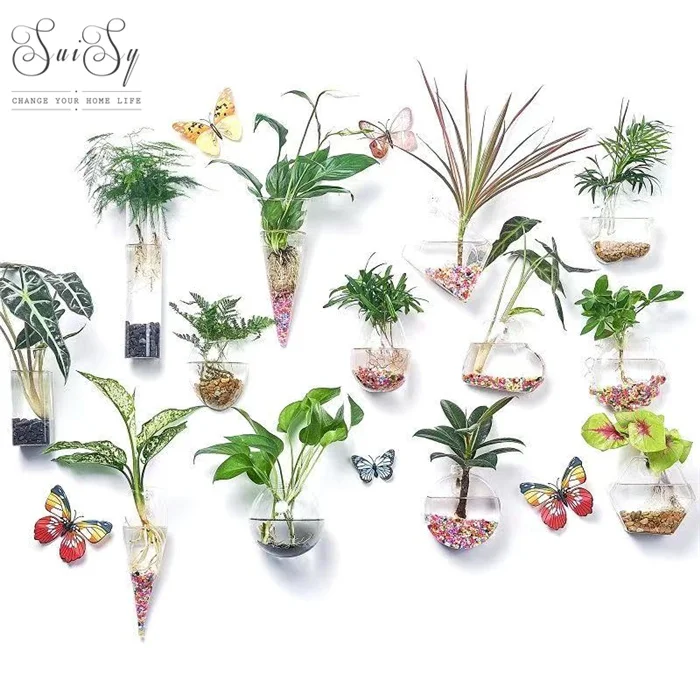 

Creative Water Plant Floating Transparent Glass Vase For Home Decor