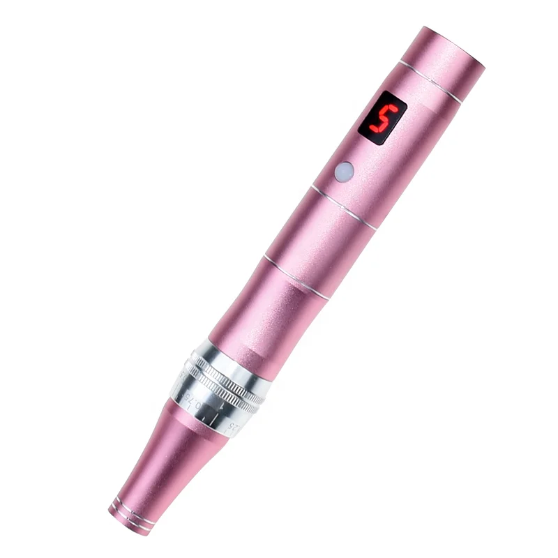 

The Hottest Professional 5 Speed Micro Needling Derma Pen for Wrinkle Removal Skin Rejuvenation, Pink