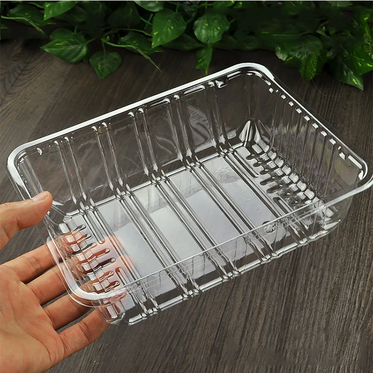 

Vegetable Salad Cut Fruit Square Rectangular Disposable Plastic Fruit Container, Transparent