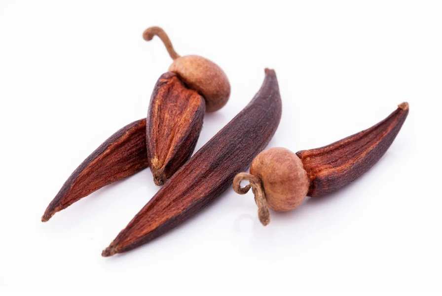 Close-up photograph of whole cloves showing their distinctive nail-like shape and reddish-brown color against a white background