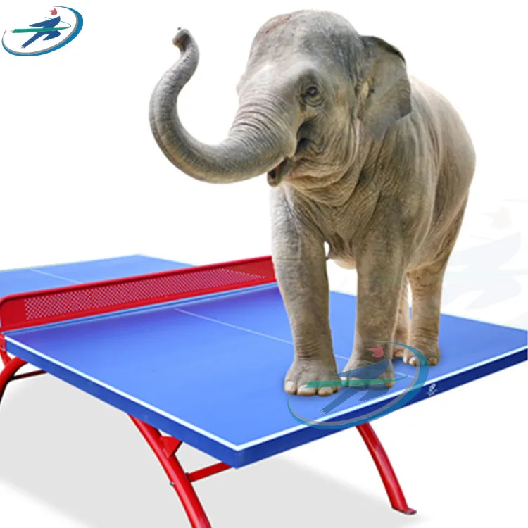 

Factory direc-sell Outdoor Table Tennis tableKids ping -pong tables Moveable Waterproof table with wheels