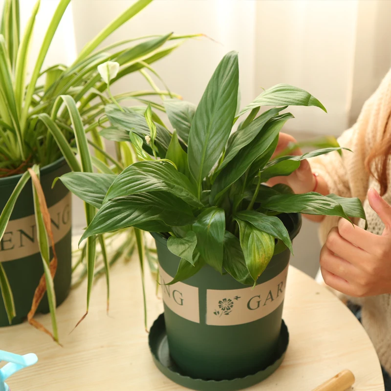 
big plastic pots for plants 7 gallon air flower pot outdoor 7 gallon black nursery pots 