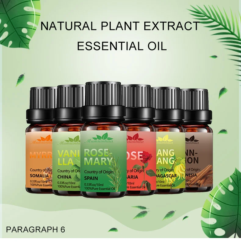 

Box gife for incense essential oils set jasmine aromatic essential oil (new) price body oil perfume bio oil skincare for Massage
