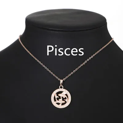 

2020 jewellery personality 12 zodiac sign necklace gift, As pic