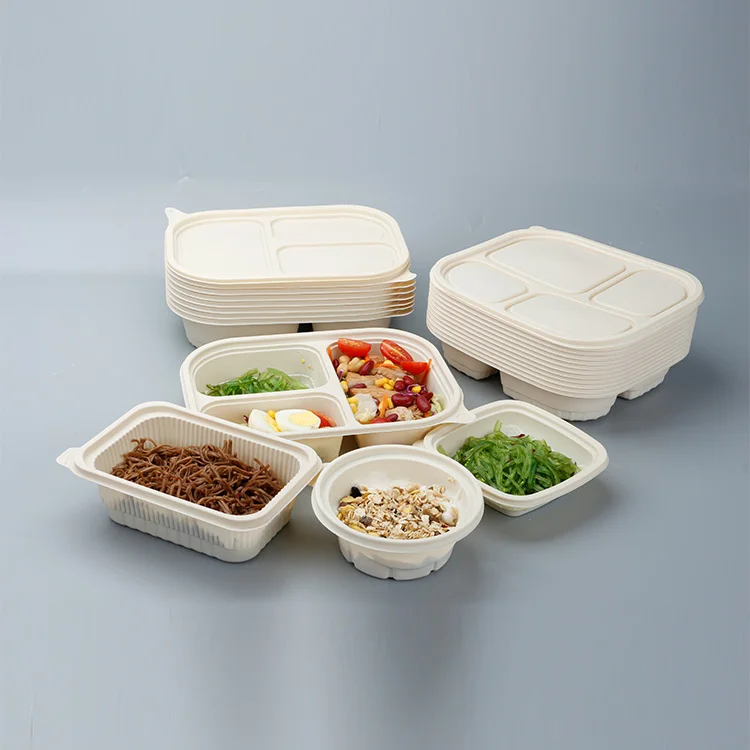 

Bento 3 Compartment Food Take Away Disposable Microwave Lunch Box