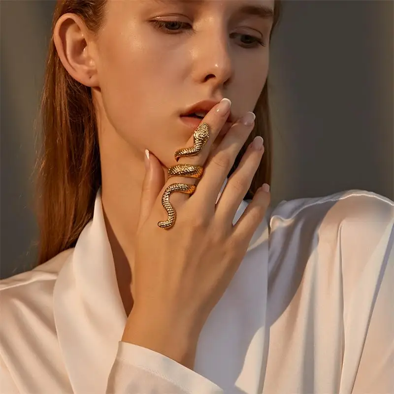 

European And American Fashion Punk Metal Ring Cross Border Retro Personalized Long Snake Ring Wholesale Cool Ring Men And Women, Customized