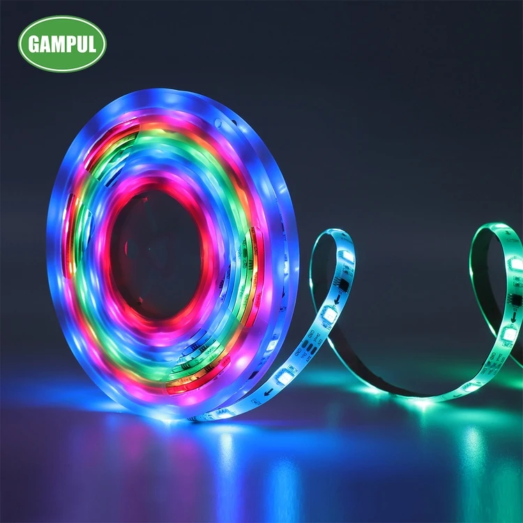 Original factory multicolor coffee shop decoration waterproof multi color rope strip flexible led light