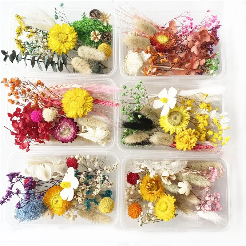 

Plant Accessories Dried Flower Material For Aromatherapy Candles Scattered Flower Fragmented Specimens Flores Head Glue DIY