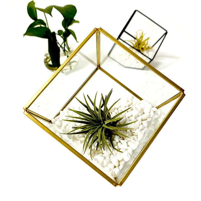 

Handmade Geometric Glass Terrarium for Home and Wedding Decoration Gold Black 10cm