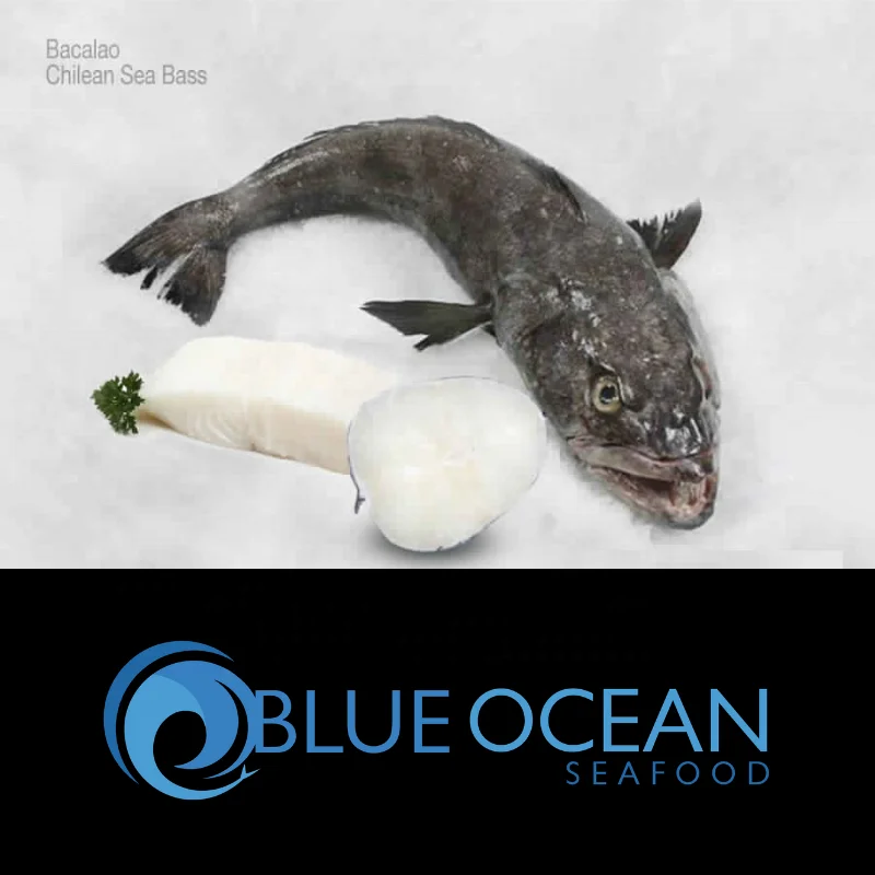 
Patagonian Toothfish / Chilean Sea Bass WE ARE PRODUCERS ! 