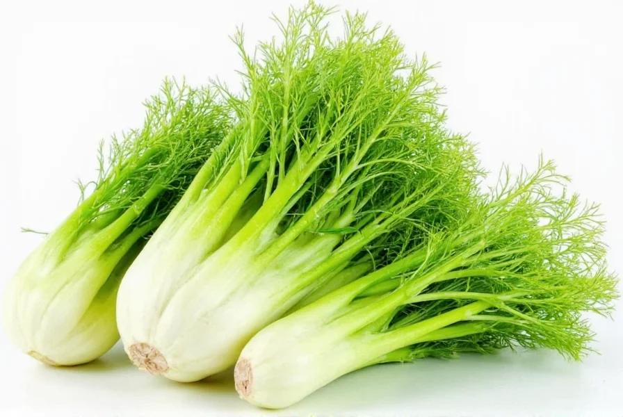 nutritional benefits of fennel