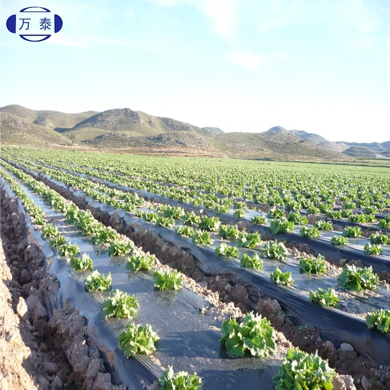
Manufacture agriculture or gardening use Biodegradable Mulch Film 