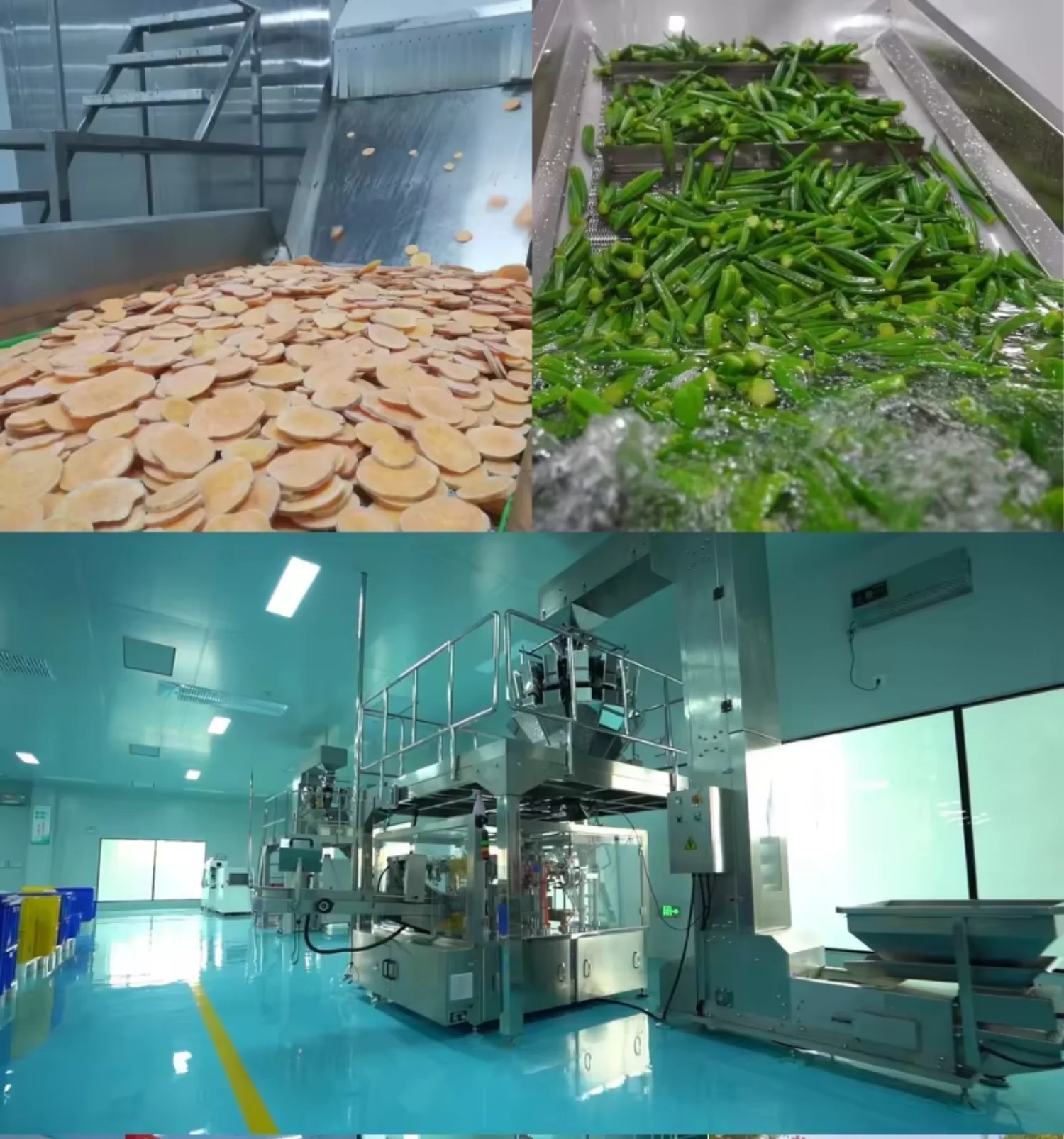 Mixed Fruits Vegetables Wholesale | Bulk Supplier H72c3900c4b4648b3a911caef56a68772r