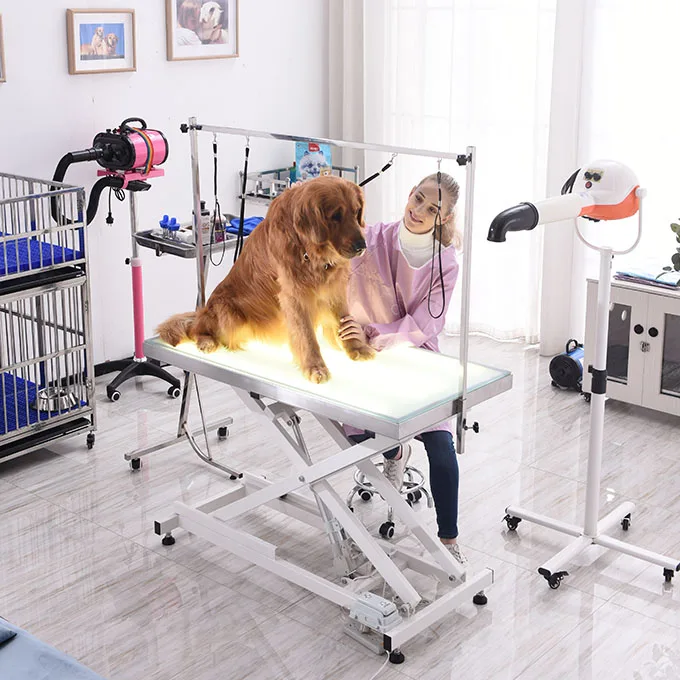 New Design Pet LED Lighting Electric cross lifting Grooming Table