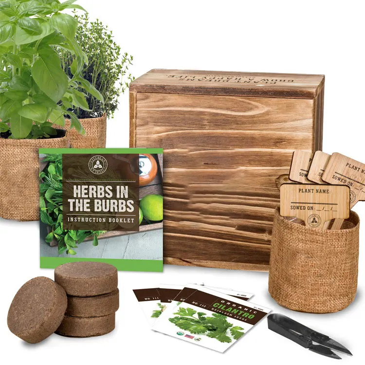 

gardening products planting set gift plant herb box for gardening wholesale bonsai starter kit products, Khaki