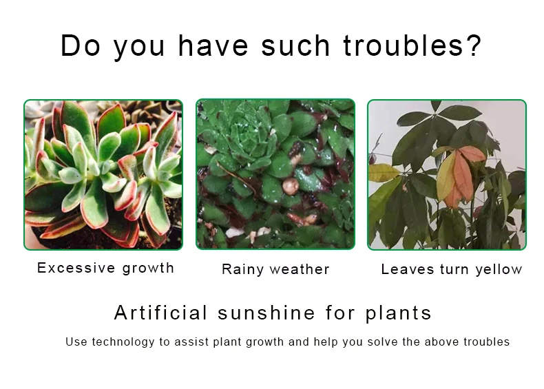 Greenhouse Garden Hydroponics Succulent Growing 100W Plant Led Grow Light